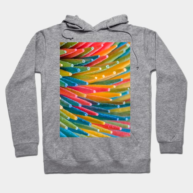 Rainbow Multicolored Toothpicks Macro Photograph Hoodie by love-fi